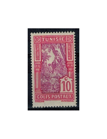 Tunisie CP N° 12 Neuf *