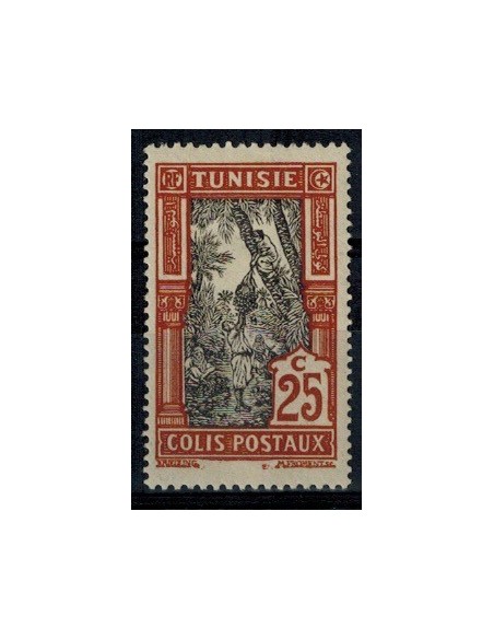 Tunisie CP N° 14 Neuf *