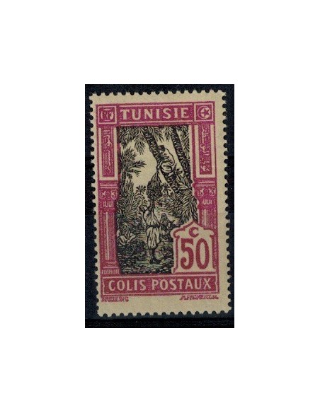 Tunisie CP N° 16 Neuf *