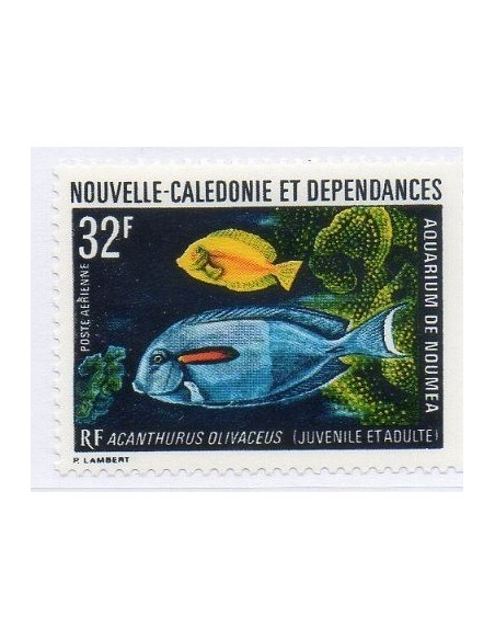 Nouv Cal N° PA 145 N *