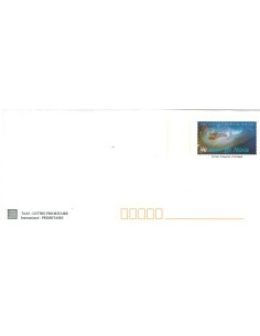 Entier postal N° 6E