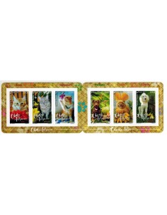 Pol carnet N° 1163