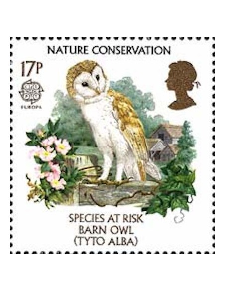 Royaume-Uni N° 1222 N**