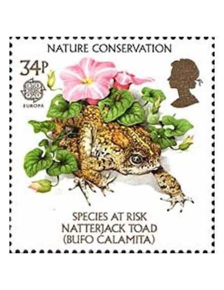 Royaume-Uni N° 1225 N**