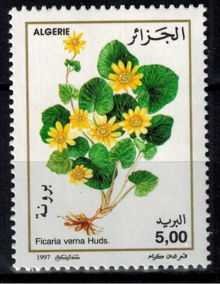 Algerie N° 1131 N**