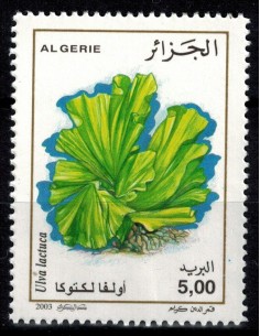 Algerie N° 1347 N**