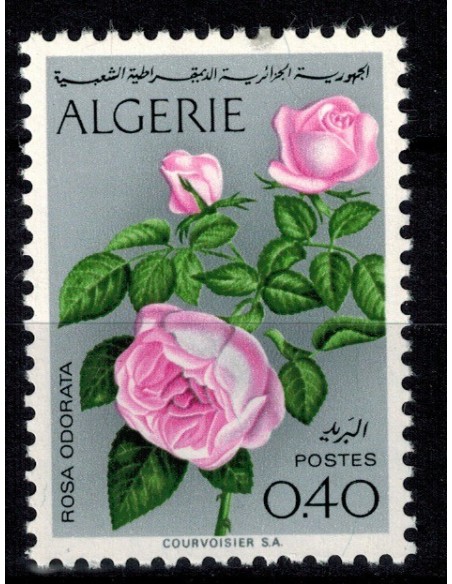 Algerie N° 0569 N*