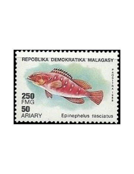 Madagascar N° 0956 Neuf **