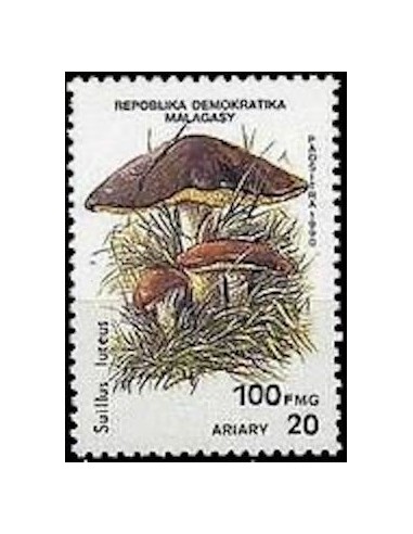 Madagascar N° 1008 Neuf **