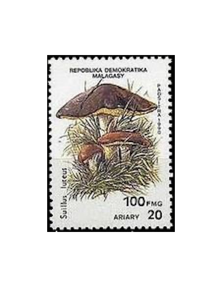 Madagascar N° 1008 Neuf **