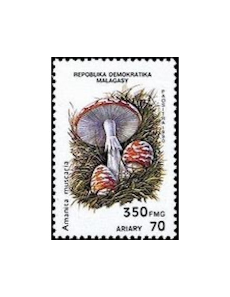 Madagascar N° 1009 Neuf **