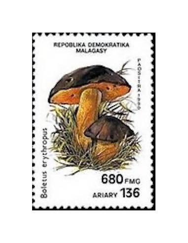 Madagascar N° 1011 Neuf **