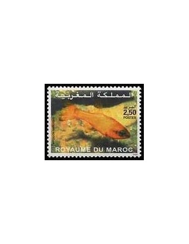 Maroc N° 1274 Neuf **