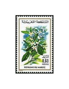 Maroc N° 0728 Neuf *