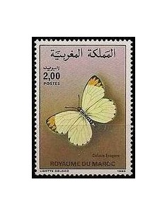 Maroc N° 0997 Neuf *