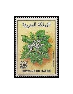 Maroc N° 1009 Neuf *
