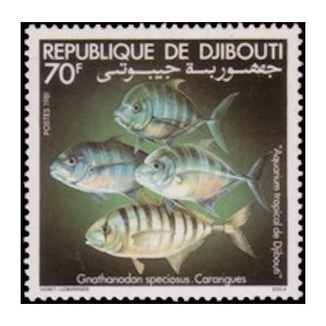 Djibouti N° 0529 Neuf **