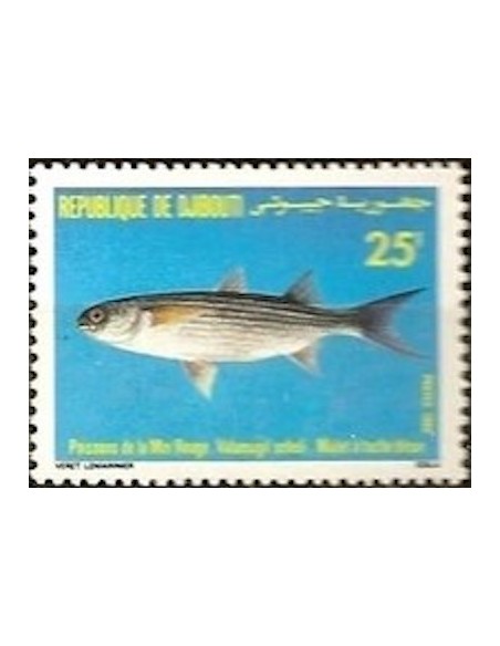 Djibouti N° 0623 Neuf **