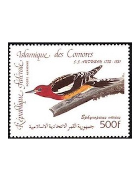 Comores PA N° 210 N**