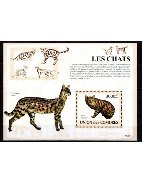 Comores BF N° 155 N**