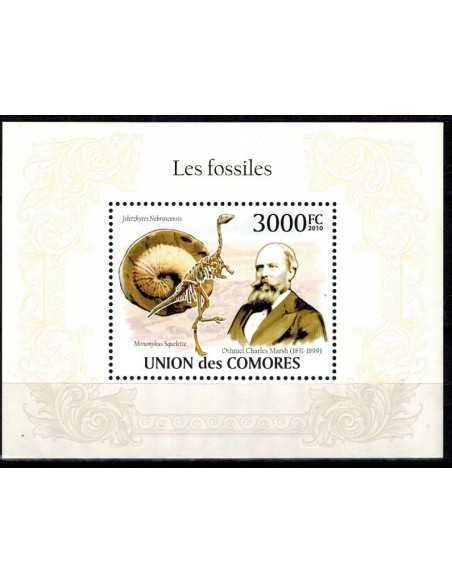 Comores BF N° 242 N**