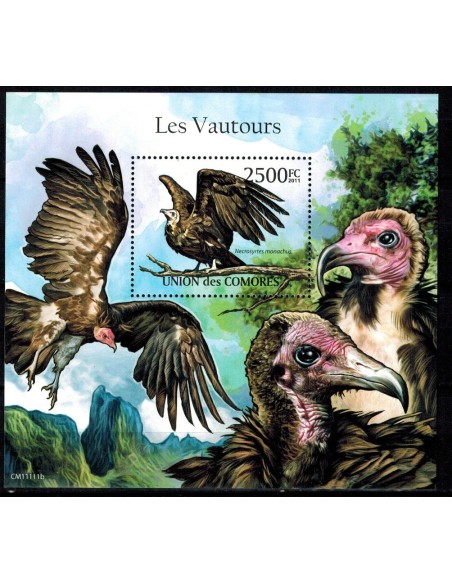 Comores BF N° 302 N**