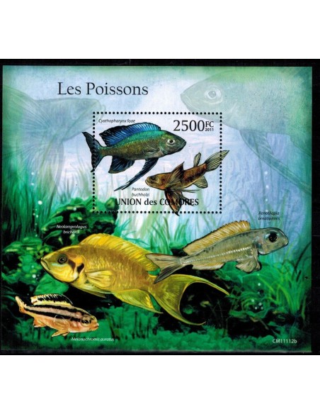 Comores BF N° 303 N**