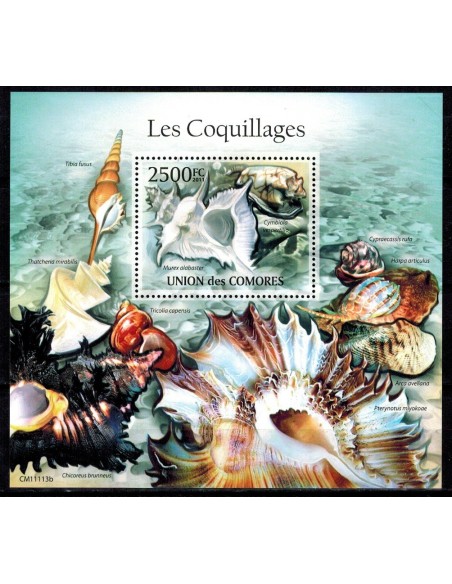 Comores BF N° 304 N**