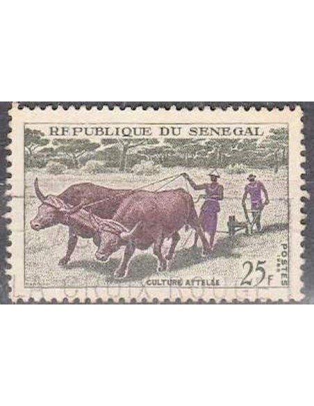 Sénégal N° 0255 N**