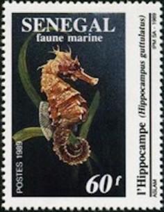 Sénégal N° 0827 N**