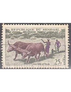 Sénégal N° 0255 N*