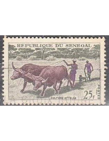 Sénégal N° 0255 N*