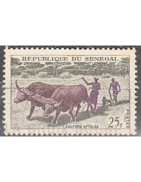 Sénégal N° 0255 N*