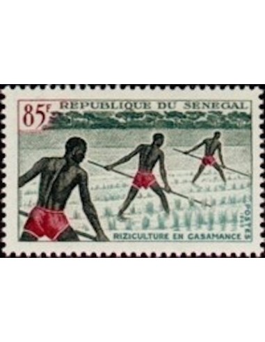 Sénégal N° 0257 N*