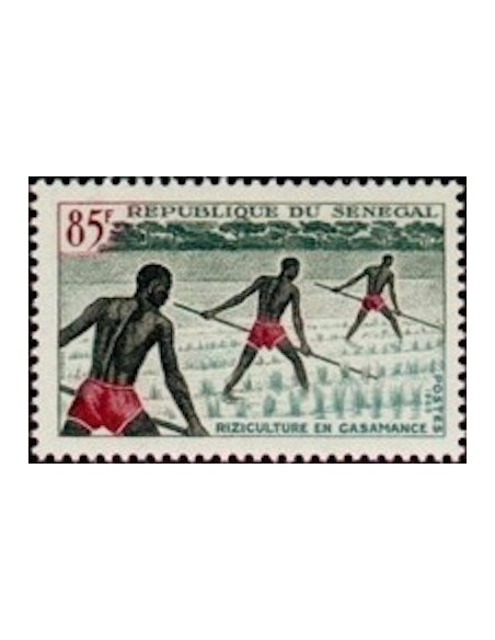 Sénégal N° 0257 N*
