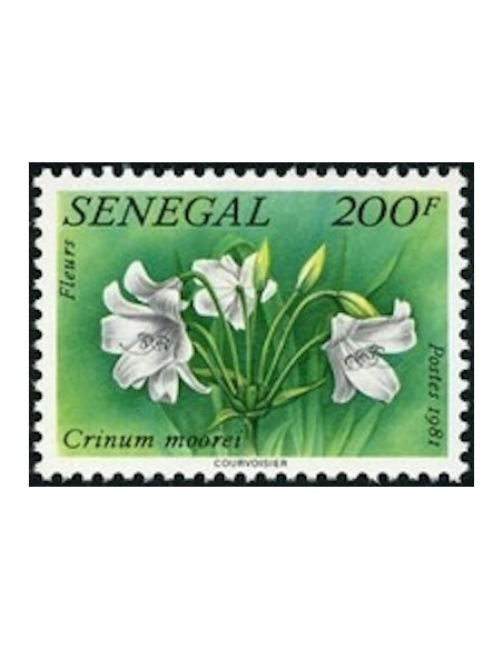 Sénégal N° 0564 N*