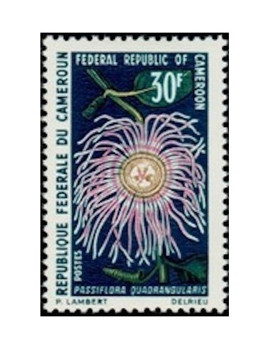 Cameroun N° 482 Neuf *