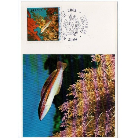 Carte P J du N° 2005