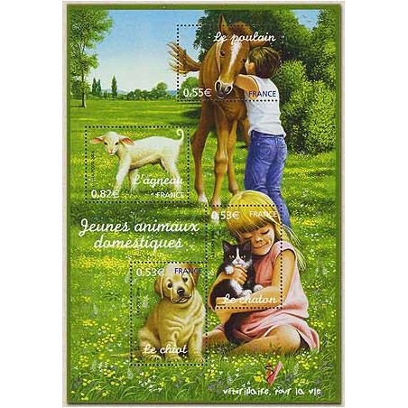 Bloc Feuillet N° 096 Neuf **