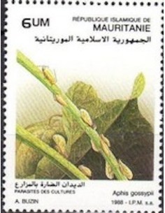 Mauritanie N° PA 251 Neuf *