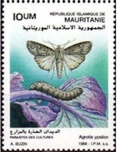 Mauritanie N° PA 252 Neuf *