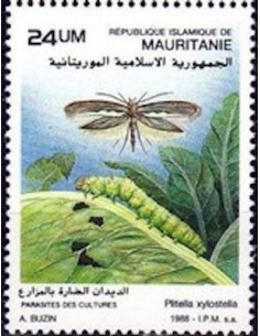 Mauritanie N° PA 254 Neuf *