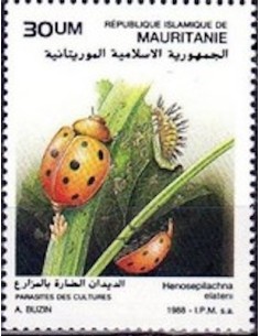 Mauritanie N° PA 255 Neuf *