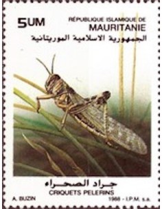 Mauritanie N° PA 257 Neuf *