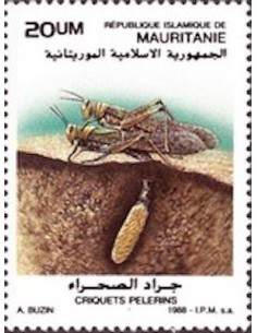 Mauritanie N° PA 258 Neuf *