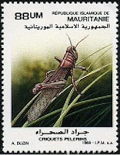 Mauritanie N° PA 261 Neuf *