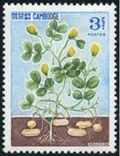 Cambodge N° 165 Obli