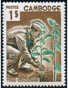 Cambodge N° 175 Obli