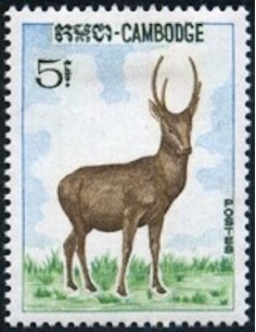 Cambodge N° 185 Obli