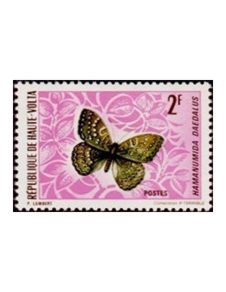 Haute Volta N° 243 Neuf *